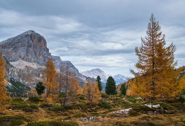 Colorido Otoño Alpino Dolomitas Escena Montaña Rocosa Sudtirol Italia Vista — Foto de Stock