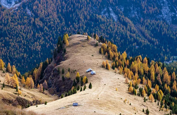 Podzimní Alpská Horská Scéna Turistické Stezky Mezi Průsmykem Pordoi Jezerem — Stock fotografie