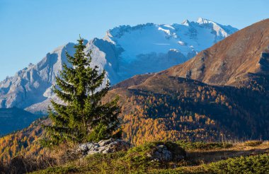 Güneşli sonbahar Alp Dolomitleri kayalık dağ manzarası, Sudtirol, İtalya. Falzarego Geçidi 'nden huzurlu bir manzara. Karlı Marmolada kütlesi ve Buzul.