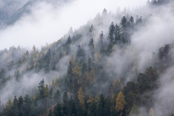 Mystic cloudy and foggy autumn alpine mountain slopes scene. Austrian Lienzer Dolomiten Alps. Peaceful picturesque traveling, seasonal, nature and countryside beauty concept scene.