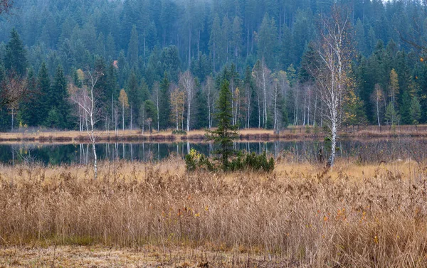 Lago Otoño Alpino Montaña Schwarzsee Kitzbuhel Tirol Austria Alpes Pintoresco —  Fotos de Stock