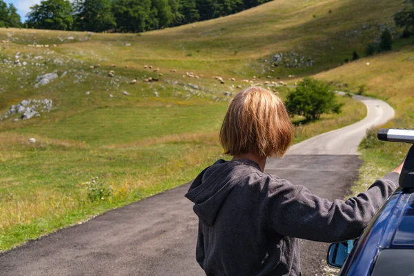 Femme Avec Voiture Méconnaissable Troupeau Moutons Sur Pâturage Près Route — Photo