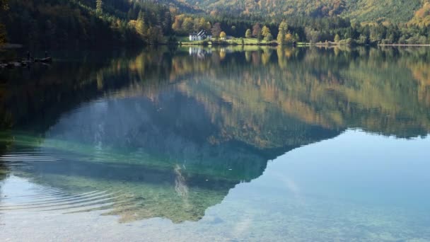 Solig Idyllisk Färgstark Höst Alpin Video Lugn Fjällsjö Med Klart — Stockvideo