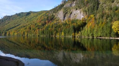Güneşli, rengarenk sonbahar dağları videosu. Şeffaf su ve yansımalarıyla huzurlu bir dağ gölü. Langbath Gölü, Yukarı Avusturya.