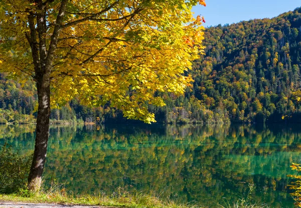 Soleado Idílico Colorido Otoño Vista Alpina Lago Sereno Montaña Con — Foto de Stock