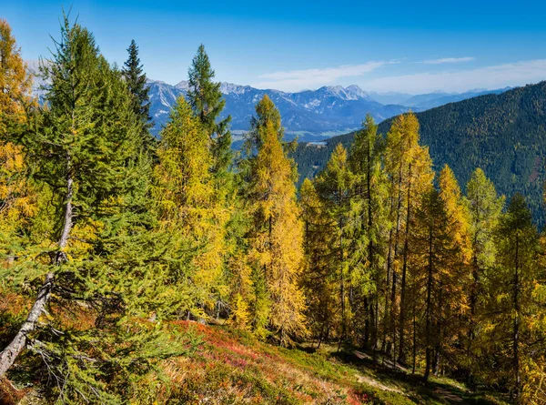 Панорамный Солнечный Осенний Вид Альпы Райтералм Гермарк Австрия — стоковое фото