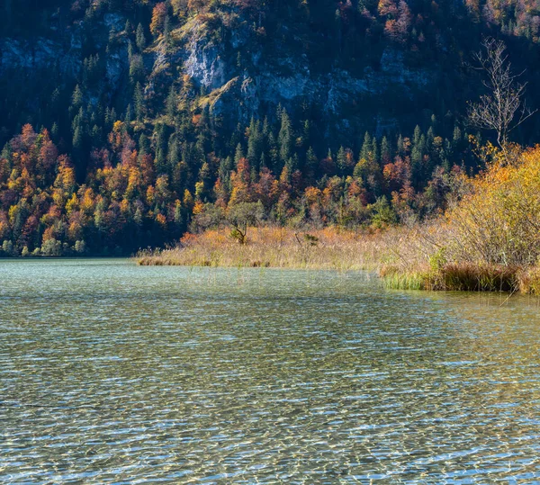 日当たりの良い牧歌的なカラフルな秋の高山の景色 透明な水と反射で穏やかな秋のアルプスの山の湖 オッフェンゼー湖 ザルツカンマーグート オーストリア — ストック写真