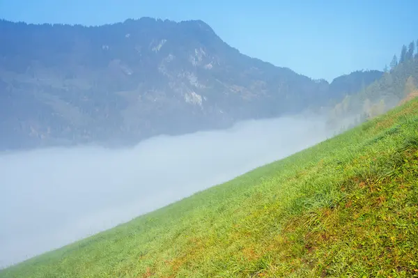 Scena Idilliaca Soleggiata Dell Autunno Alpino Tranquillo Mattino Nebbioso Alpi — Foto Stock