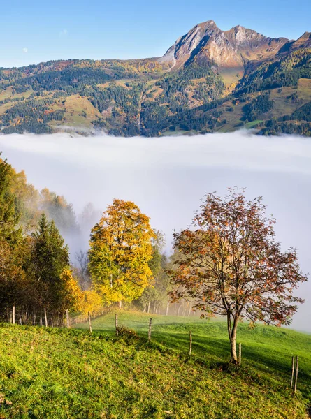 Sonnige Idyllische Herbstliche Alpenlandschaft Ruhige Neblige Morgenalpen Bergblick Vom Wanderweg — Stockfoto