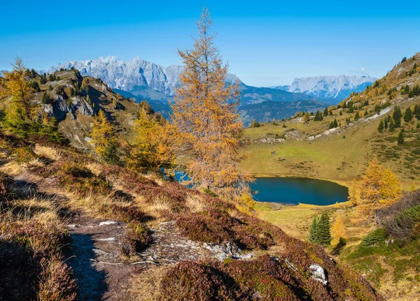 秋の高山グロッサーパーゼまたは見事な湖 Dorfgasein 土地ザルツブルク オーストリア 遠くにアルプスHochkonig岩の山のグループビュー 絵のように美しいハイキング 自然の美しさのコンセプトシーン — ストック写真