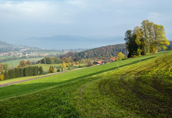 Herbstliche Landschaft Mit Grünen Winterkulturen Auf Feldern Wäldern Und Wäldern — Stockfoto