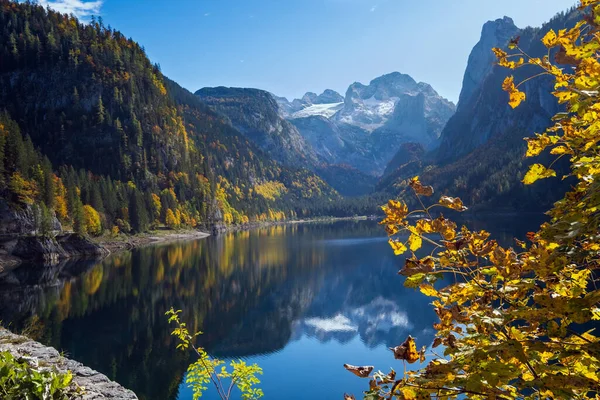 日当たりの良い牧歌的なカラフルな秋の高山の景色 透明な水と反射と平和的な山の湖 ゴソーゼン湖またはオーストリア上流のゴソーゼー湖 遠くのダシュタイン山頂と氷河 — ストック写真