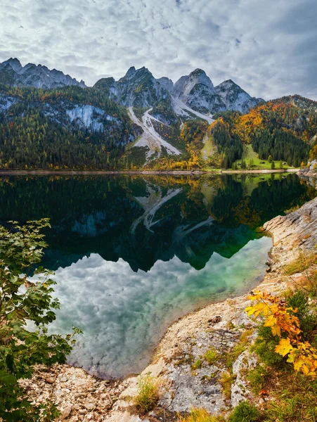 艳丽的田园诗般的五彩缤纷的秋天高山景色 平静的山湖 清澈透明的水和反思 上奥地利Gosauseen或Vorderer Gosausee湖 — 图库照片
