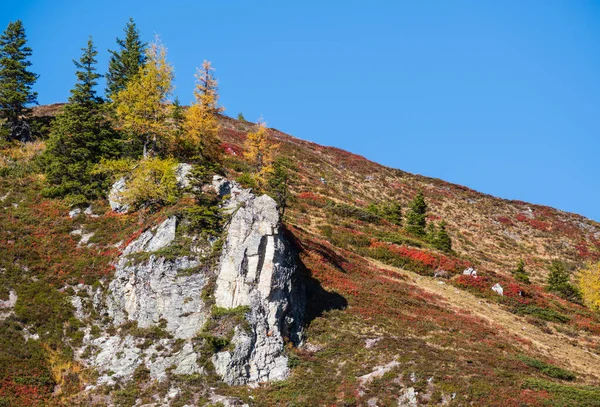 Ηλιόλουστη Ειδυλλιακή Φθινοπωρινή Σκηνή Ειρηνικές Άλπεις Θέα Στο Βουνό Από — Φωτογραφία Αρχείου