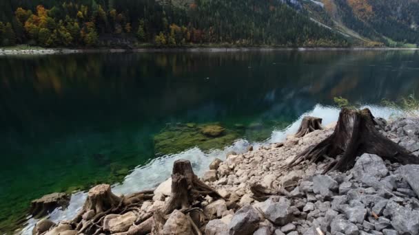 Δέντρα Κοντά Στη Λίμνη Gosauseen Vorderer Gosausee Άνω Αυστρία Πολύχρωμη — Αρχείο Βίντεο