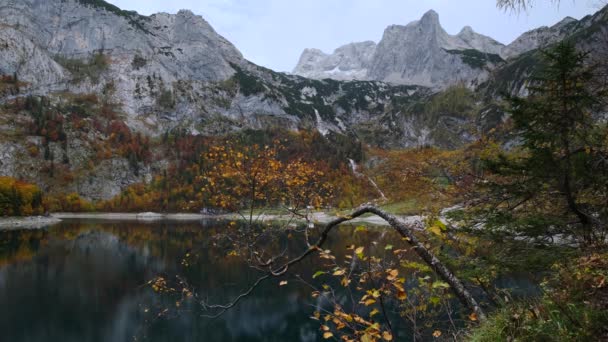 Γραφική Λίμνη Hinterir Gosausee Άνω Αυστρία Πολύχρωμη Φθινοπωρινή Αλπική Θέα — Αρχείο Βίντεο