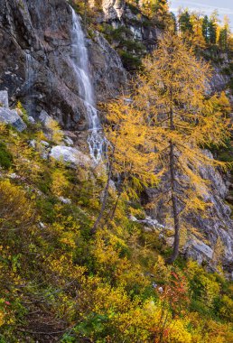 Sonbahar alp şelalesi Tappenkarsee, Kleinarl, Land Salzburg, Avusturya 'ya dağ yürüyüşü yolundan görünüyor. Resimli yürüyüş, mevsimlik ve doğa güzelliği konsepti..