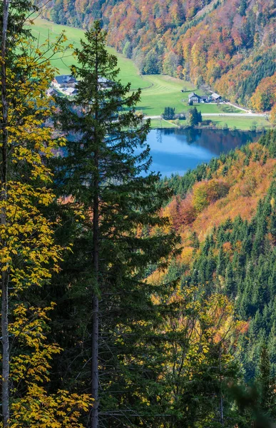 Malý Malebný Podzimní Alpy Horské Jezero Krotensee Pohled Cesty Schafberg — Stock fotografie