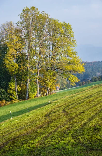 Autumn countryside view with green winter crops on fields, groves end forest, Kronberg, Strass im Attergau, Upper Austria — Stock Image Autumn Countryside View Green Winter Crops Fields Groves End Forest Stock Image