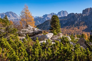 Güneşli resimli sonbahar dağları Dolomitler, Giau Geçidi 'nden Cinque Torri' ye (Beş Sütun veya Kule) kaya ünlü oluşumu, Sudtirol, İtalya.