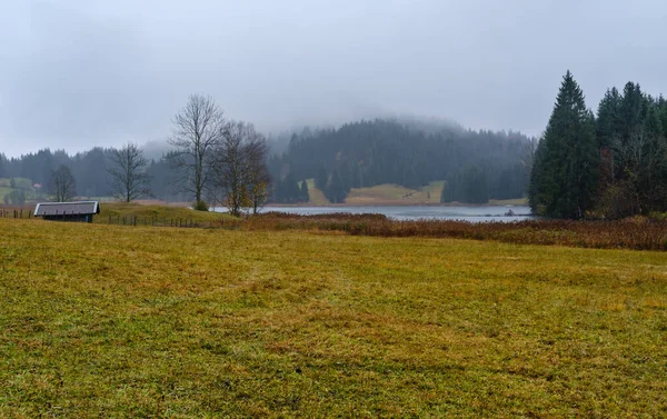 Озеро Герольди Вентспилс Бавария Германия Осенний Пасмурный День Туман Дождь — стоковое фото
