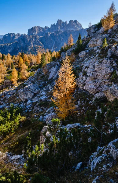 Soleado Pintoresco Otoño Alpino Dolomitas Vista Montaña Rocosa Desde Ruta — Foto de Stock