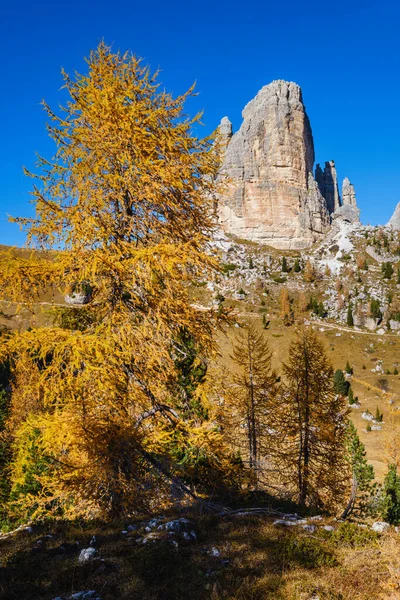 サニー秋の高山ドロマイト岩の山のシーン スディトロール イタリア 5本の柱や塔の岩の有名な形成 絵のような旅行 ハイキング 自然の美しさのコンセプトシーン — ストック写真