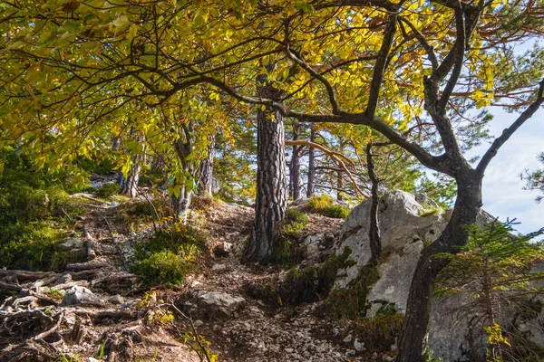 Peaceful Autumn Alpine Traunsee Lake Hiking Path Kleiner Sonnstein Rock — Stock Photo, Image