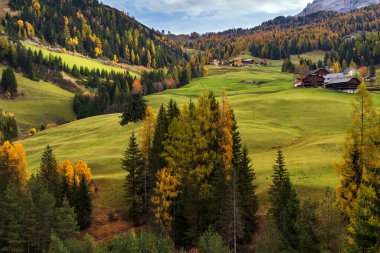 Güneşli sonbahar Alp Dolomitleri kayalık dağ manzarası, Sudtirol, İtalya. Alpine Pass Yolu 'ndan huzurlu bir manzara. Resimli seyahat, mevsimsel, doğa ve kırsal güzellik konsepti.