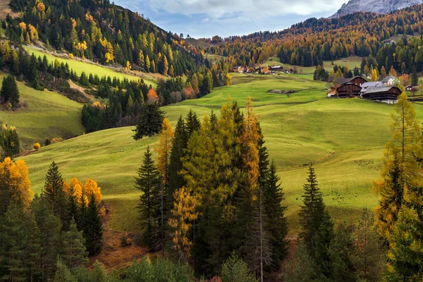 意大利 苏蒂罗尔 阳光灿烂的五彩缤纷的秋天高山白云石山景 从高山山口的公路上可以看到和平景色 风景秀丽的旅游 自然和乡村美景概念风景 — 图库照片