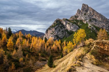 Renkli sonbahar Dolomitleri kayalık dağ manzarası, Sudtirol, İtalya. Falzarego Geçidi 'nden huzurlu bir manzara. Resimli seyahat, mevsimsel, doğa ve kırsal güzellik konsepti.