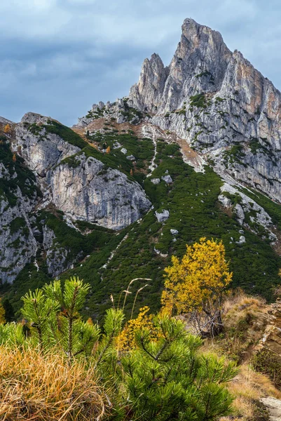 カラフルな秋の高山ドロマイト岩の山のシーン スディトロール イタリア ファルザレッゴ峠からの静かな眺め 絵のような旅行 自然と田舎の美しさのコンセプトシーン — ストック写真