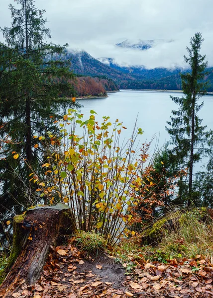 Alpiner Sylvenstein Stausee Der Isar Bayern Deutschland Herbst Bedeckt Neblig — Stockfoto