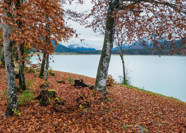 Озеро Сильвенштейн Реке Изар Бавария Германия Осенний Пасмурный День Туман — стоковое фото