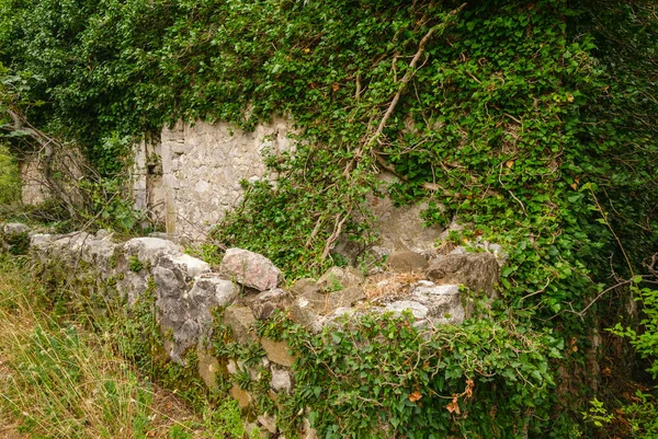 中世の集落は1979年の地震 ストモア バー地域 モンテネグロで完全に破壊された — ストック写真