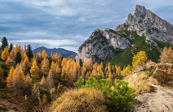 Dolomites Alpines Automne Colorées Scène Montagne Rocheuse Sudtirol Italie Vue — Photo