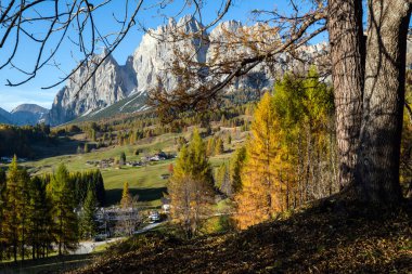 Güneşli sonbahar Dolomites Dağı manzarası, Sudtirol, İtalya. Cortina d 'Ampezzo çevresinden huzurlu manzara, Cristallo Grubu uzak dağlardaki kayalık tepeler.