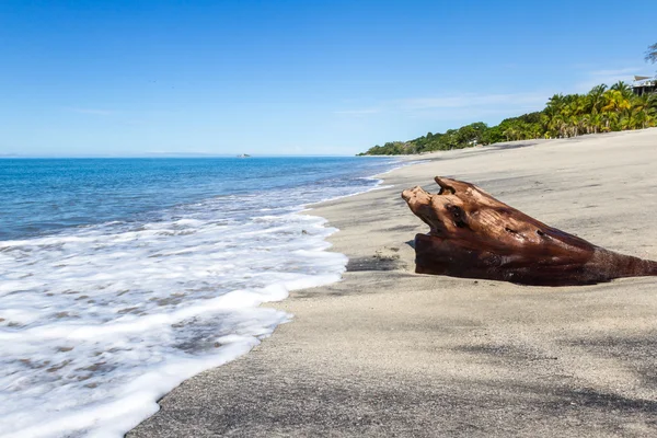 Krásná pláž v Pacifické pobřeží Panamy — Stock fotografie