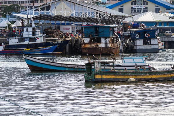 Fiskebåtar i Panama City — Stockfoto