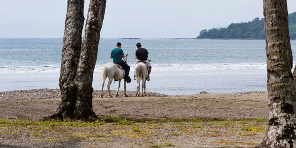 Cavalo de volta montando na praia — Fotografia de Stock