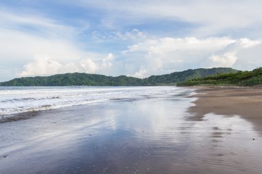 tropikal plaj manzara 