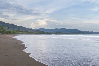 tropikal plaj manzara 