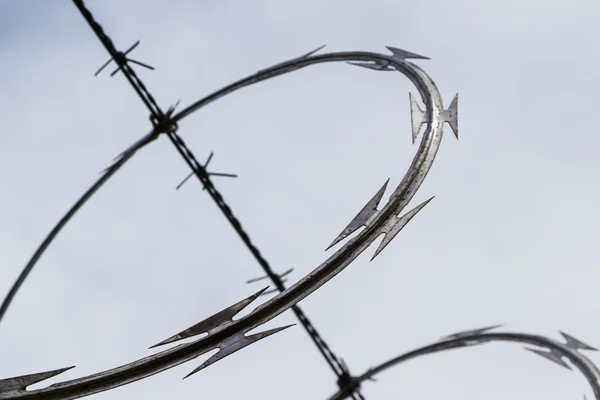 Razor wire close up — Stock Photo, Image