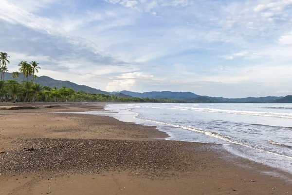 tropikal plaj manzara 