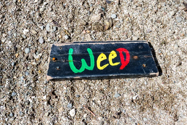 weed on the beach