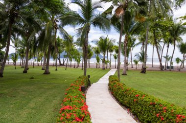 rahatlatıcı tropikal, plaj 