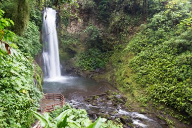 Kosta Rika 'da Şelale 