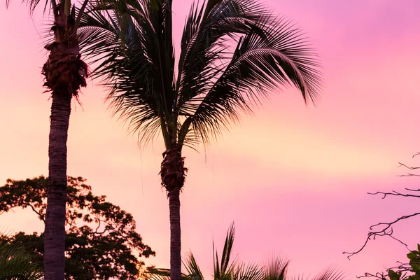 Tropische zonsondergang in Costa Rica — Stockfoto