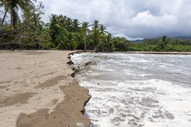 Kosta Rika Güney Pasifik Sahil 