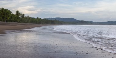 tropikal plaj manzara 